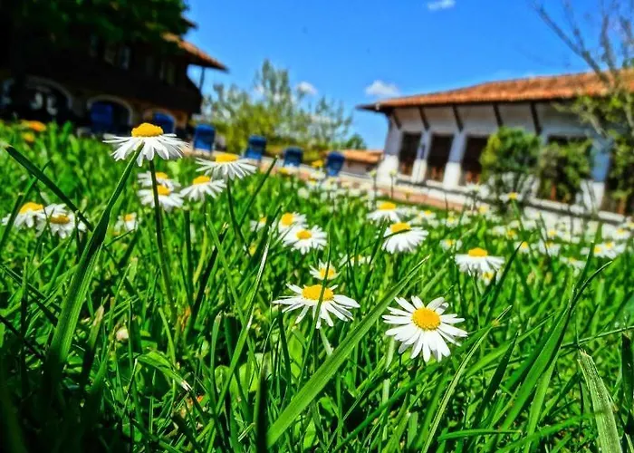 Izvora - Garden Retreat Отель 3*